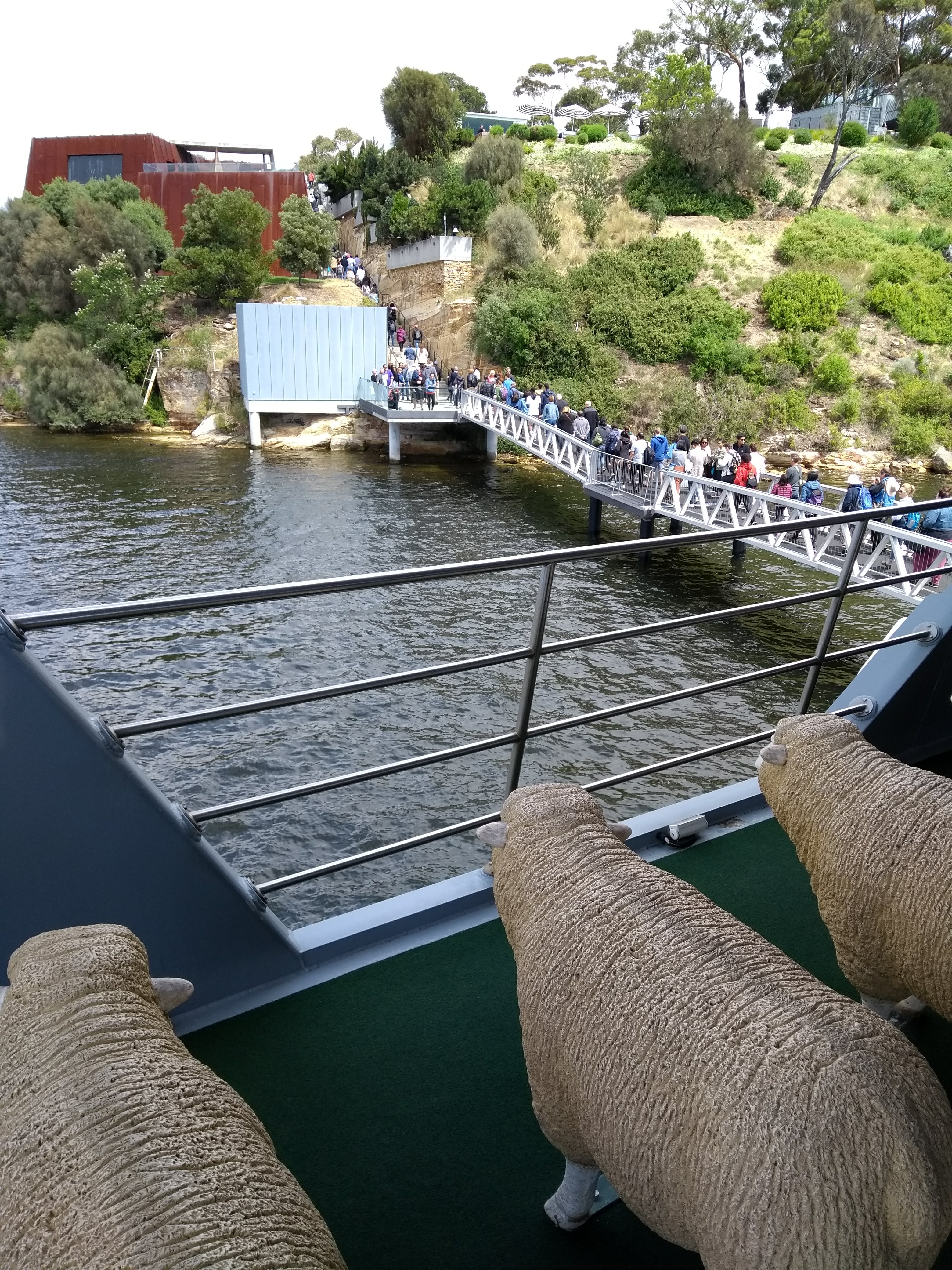 L'ingresso al MONA di Hobart tramite passerella sull'acqua, e sedili a forma di pecora
