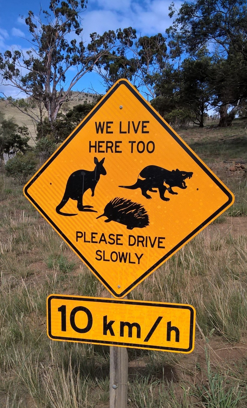 Segnale stradale australiano con canguro, echidna e diavolo della Tasmania