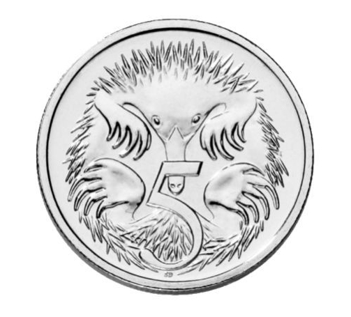 moneta australiana da 5 cents con echidna