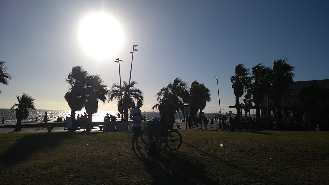 Vivere a Melbourne: lungomare con palme e bicicletta in controluce