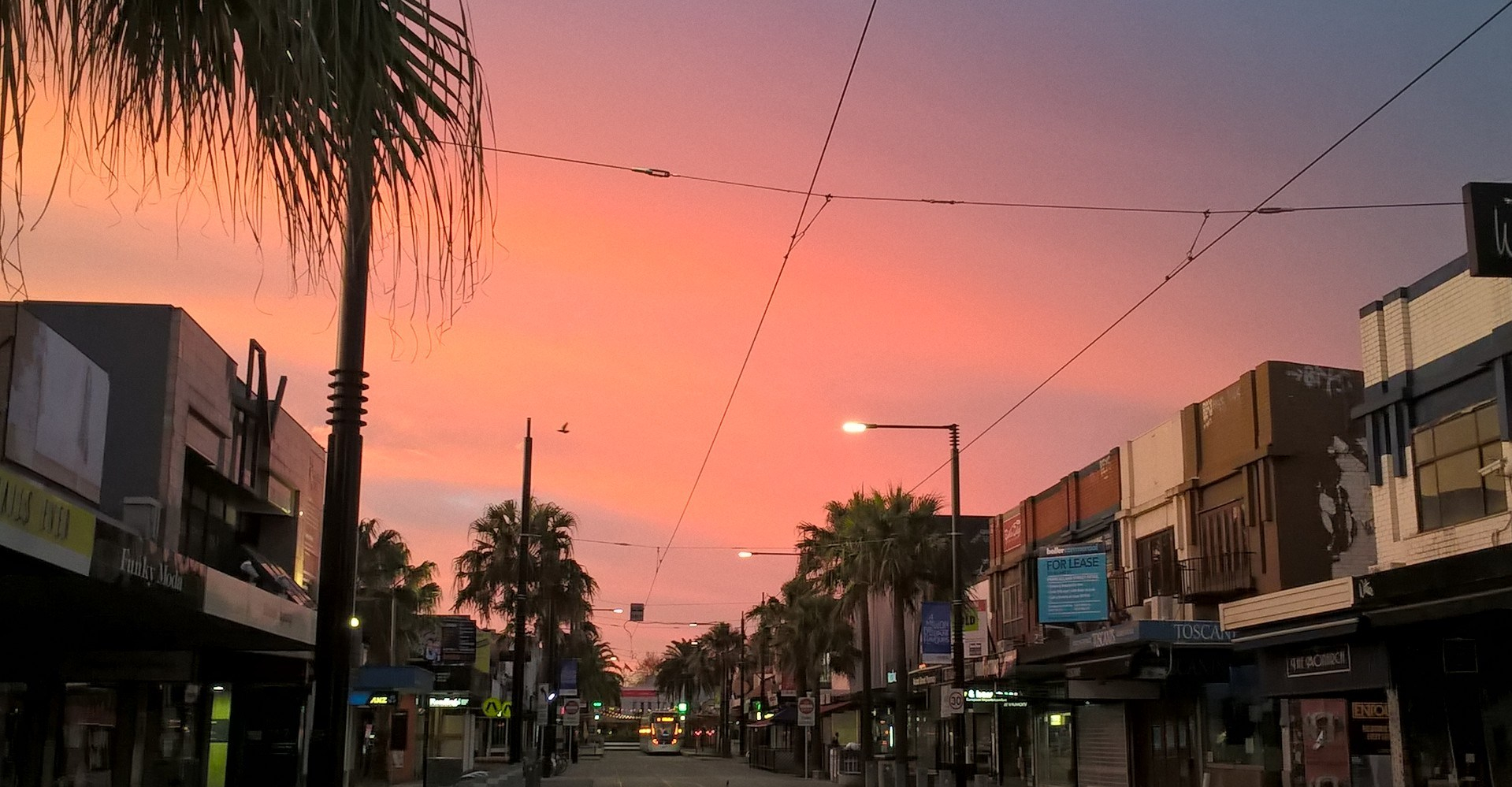 Strada australiana all'alba, con cielo rosa e viola