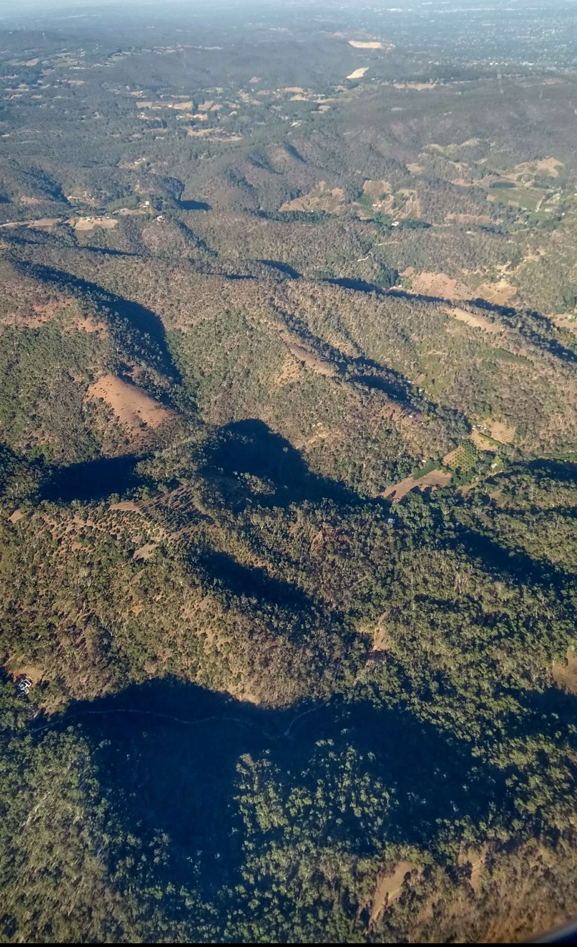 Colline della Barossa Valley, South Australia