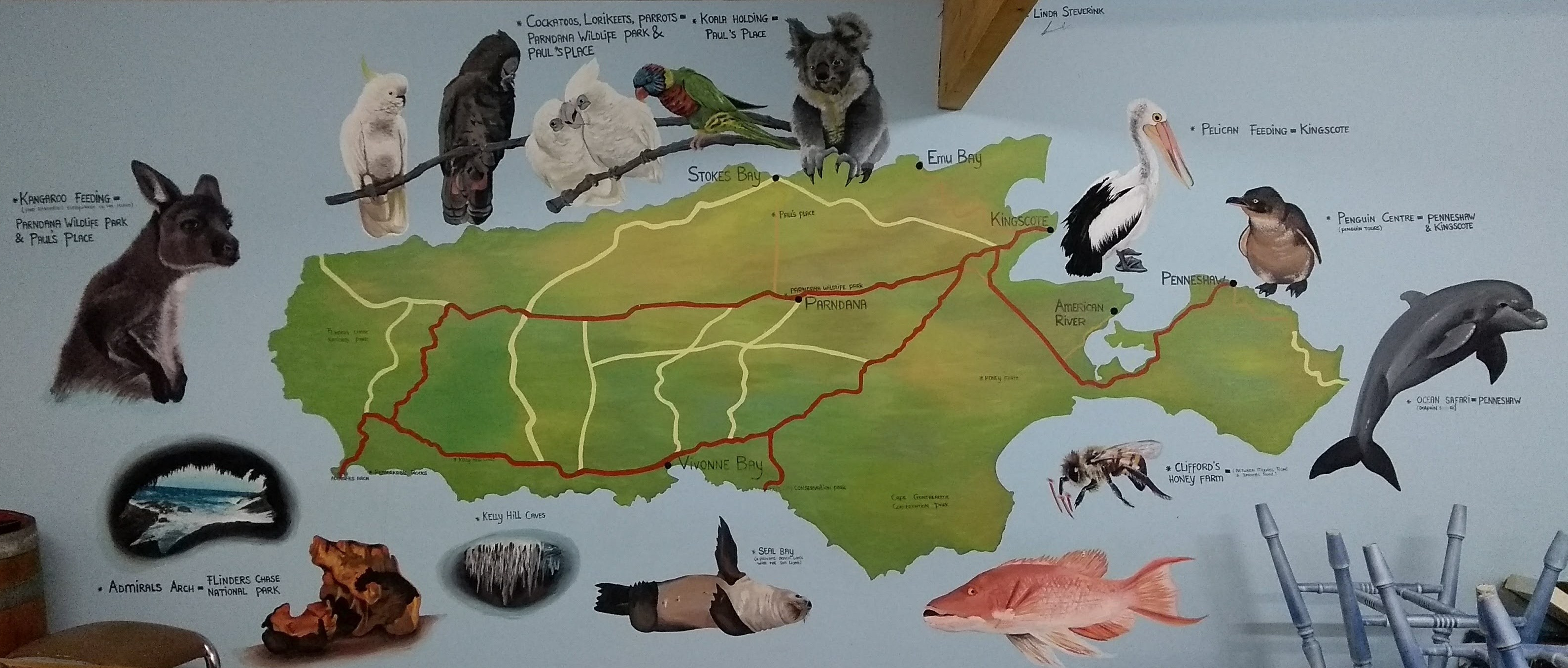 Kangaroo Island animali selvatici mappa disegnata