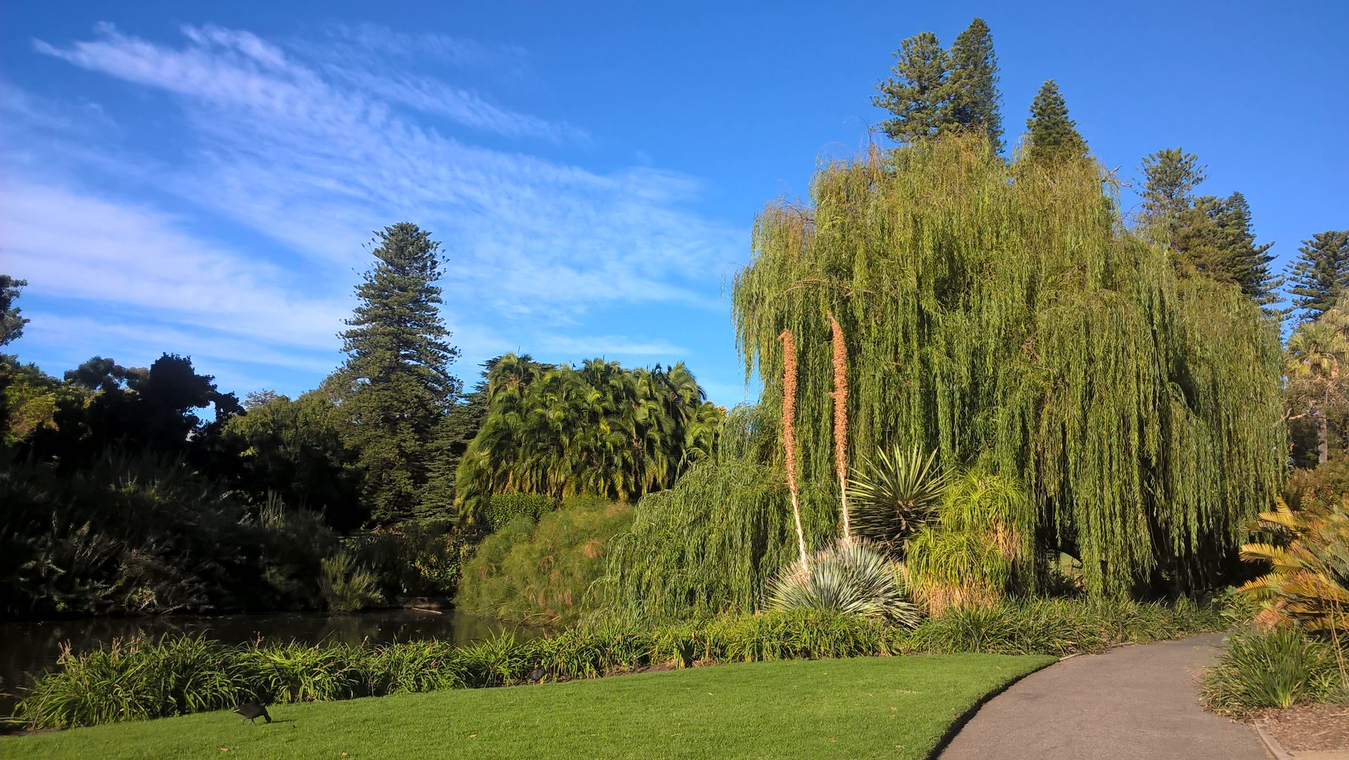 Adelaide, giardino botanico