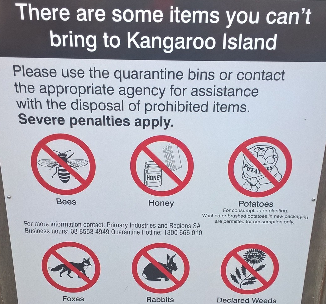 Kangaroo Island condizioni di ingresso sull'isola: divieto di api, miele, patate, volpi, conigli, erbe