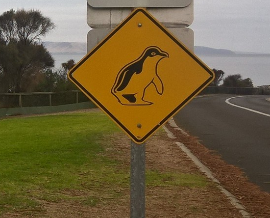 cartello attraversamento pinguini