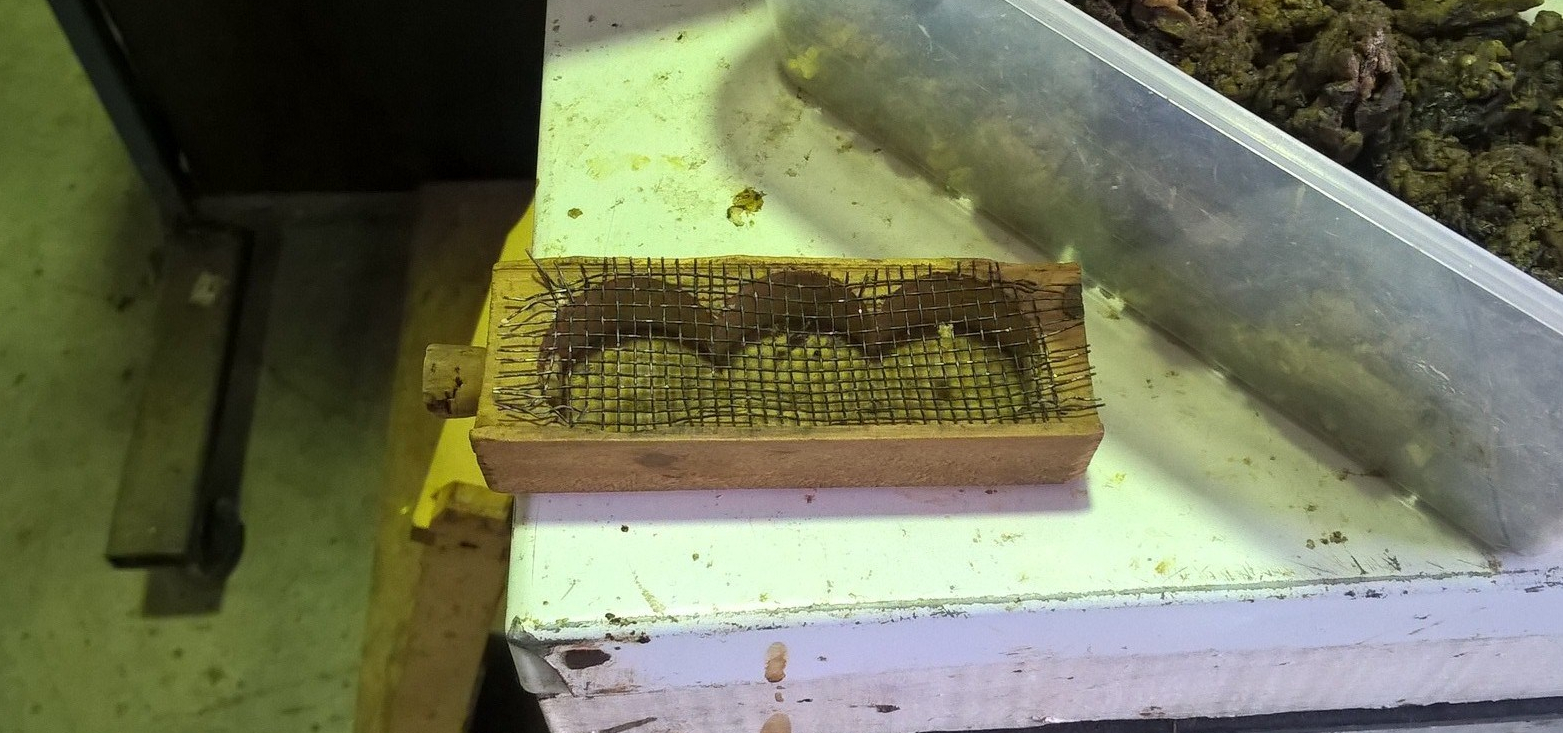 scatola-trasportino per spostare l'ape regina
