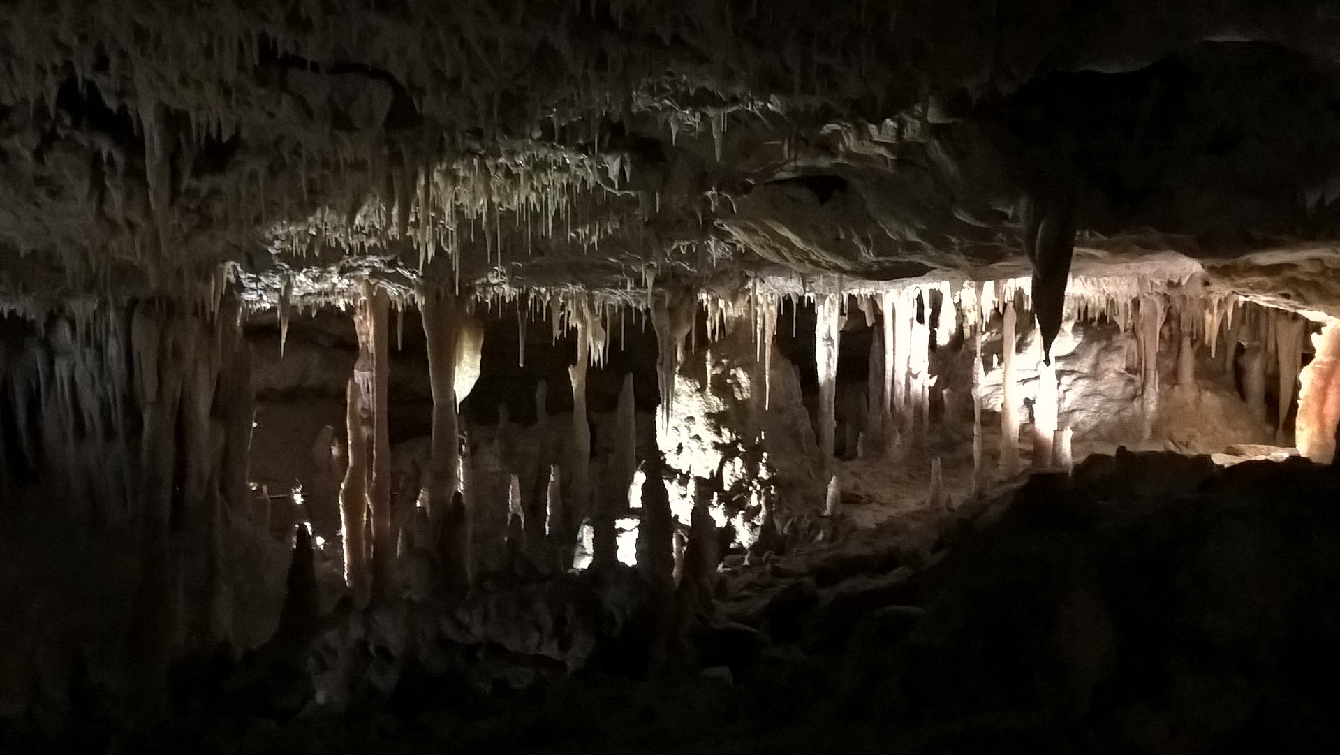Stalagtiti e stalagmiti in una delle grotte di Naracoorte