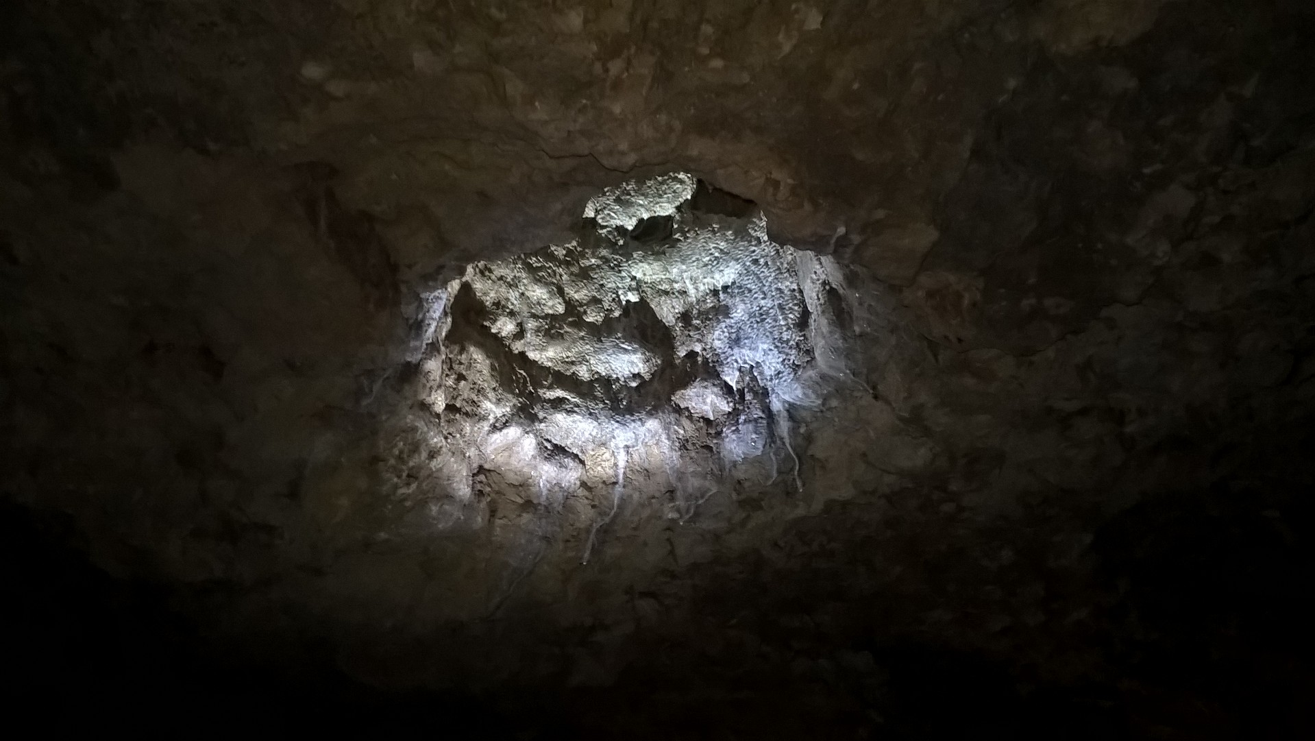 Un buco nella volta di una delle grotte di Naracoorte