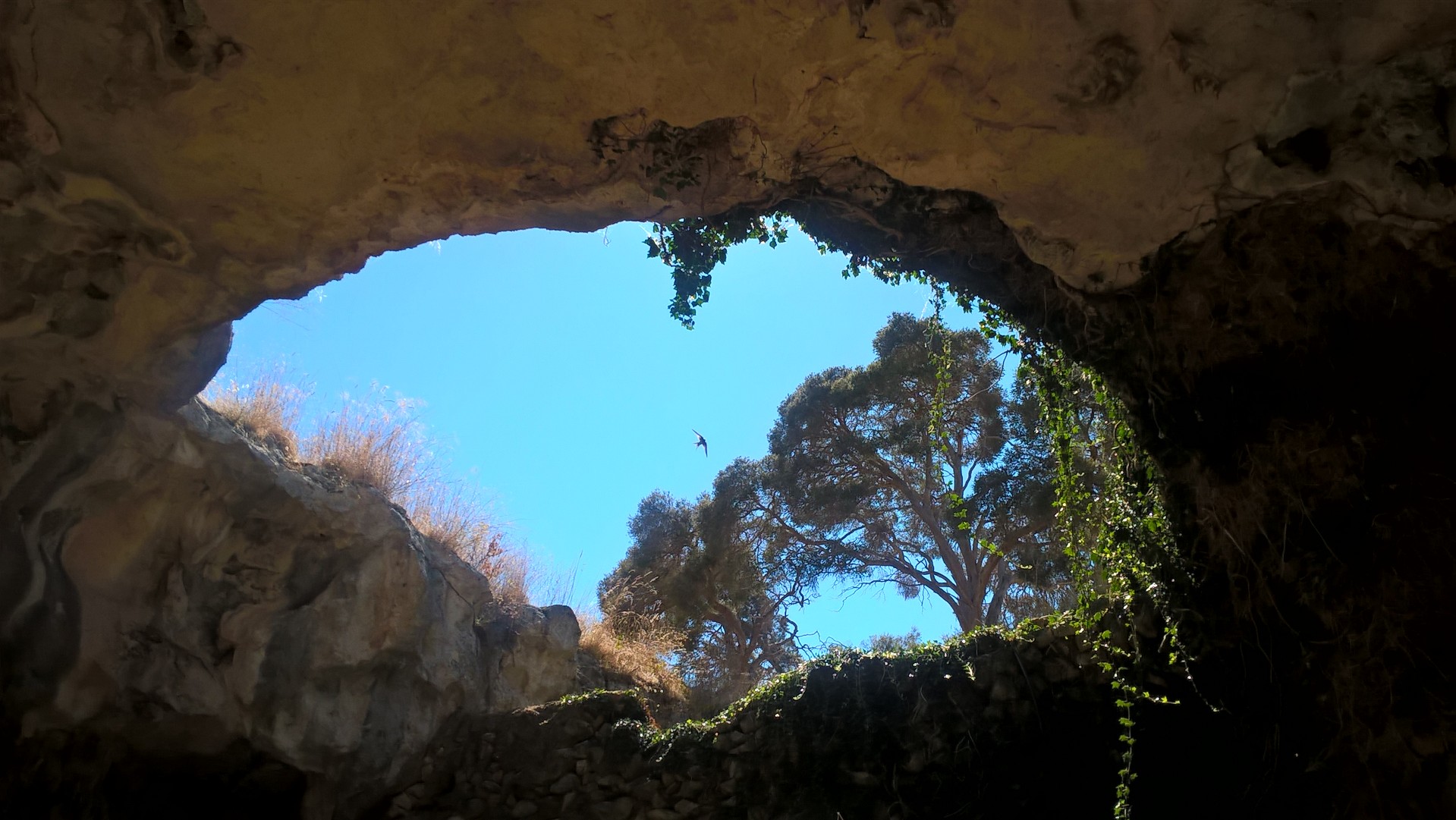 La vista dall'interno verso l'esterno di una delle grotte di Naracoorte