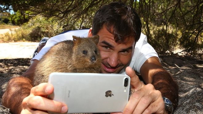 Federer selfie con quokka e telefono
