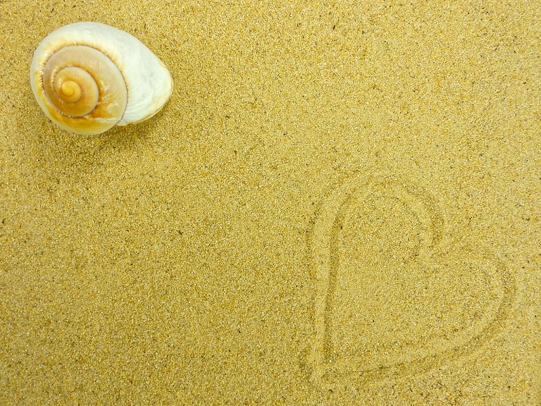 Guscio di lumaca su sabbia con cuore