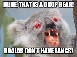 drop-bear-meme-il-koala-non-ha-le-zanne