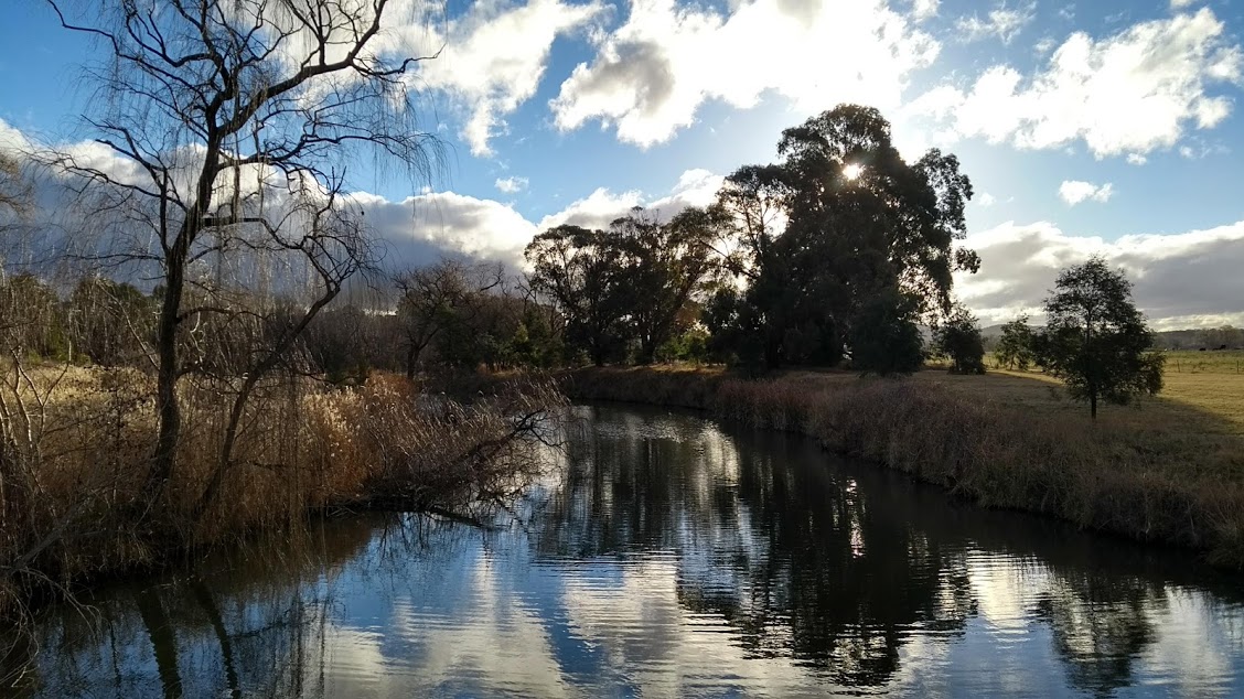 Canberra wetland