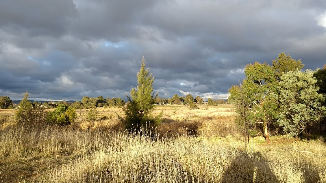 Canberra vegetazione con cielo plumbeo