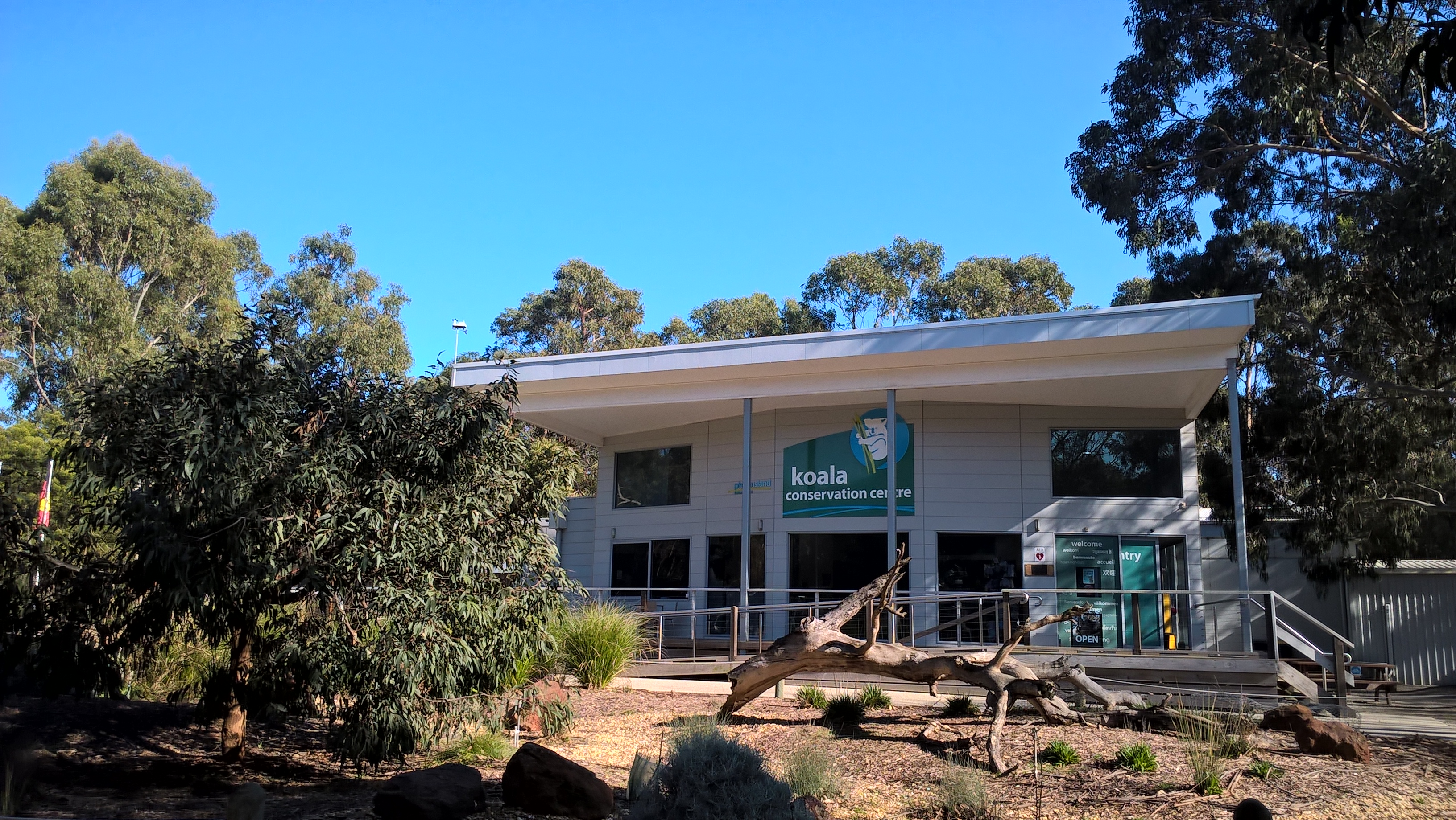 koala conservation centre phillip island ingresso