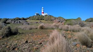 low-head-faro-con-panorama