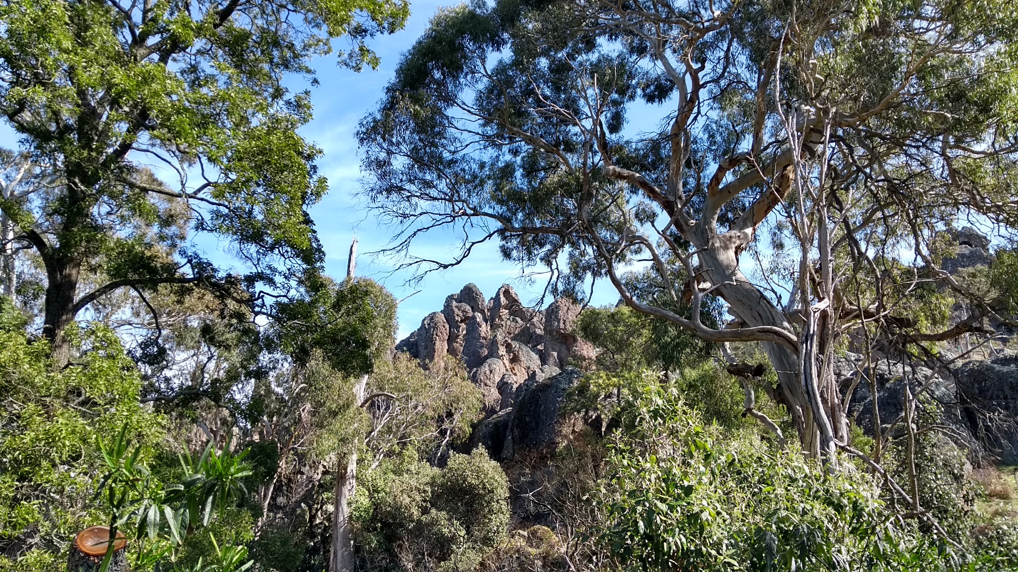 hanging rock da lontano tra gli alberi