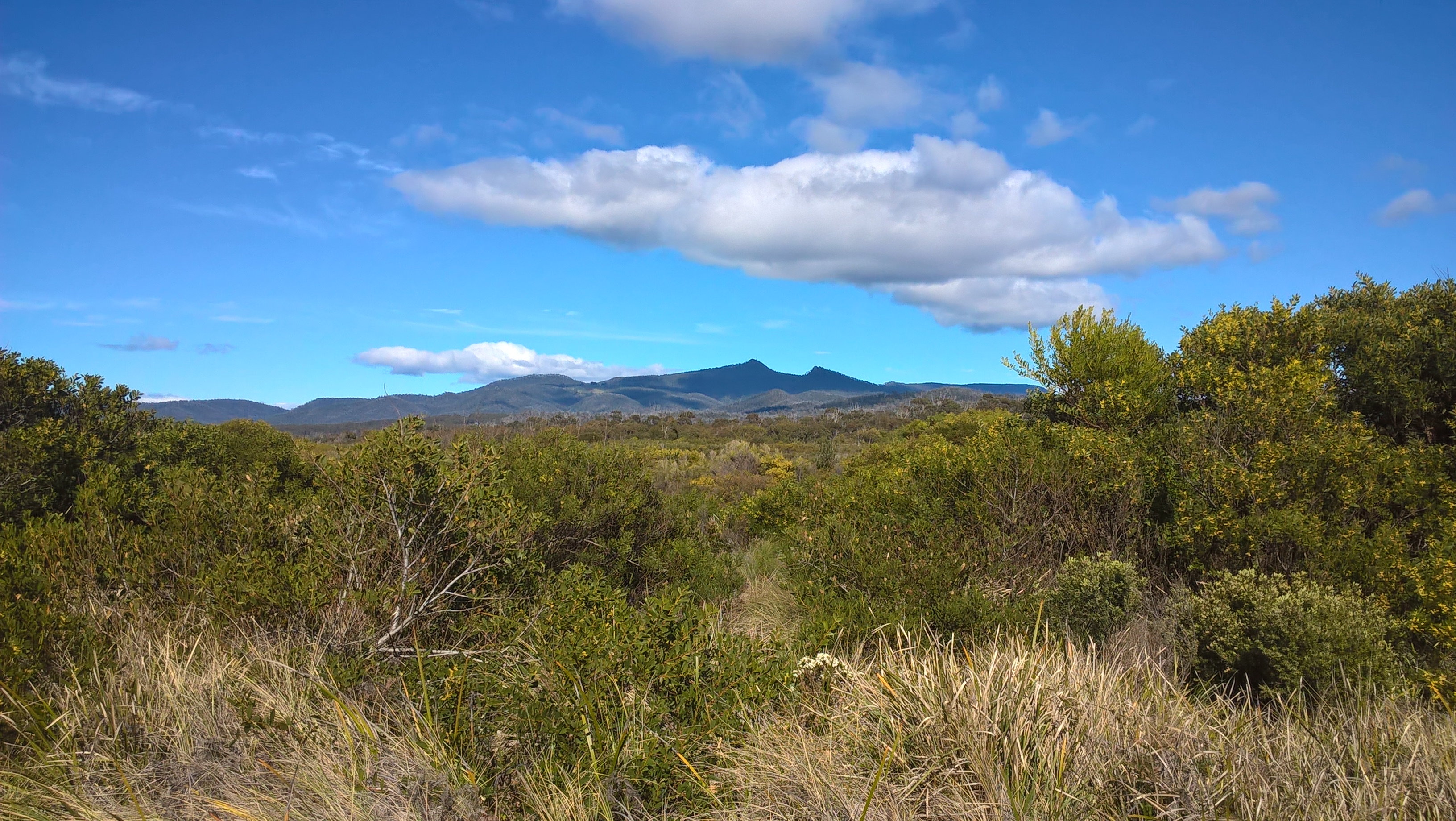 tasmania paesaggio vista dal glamping