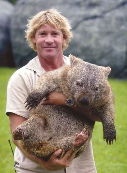 Steve Irwin con un vombato in braccio