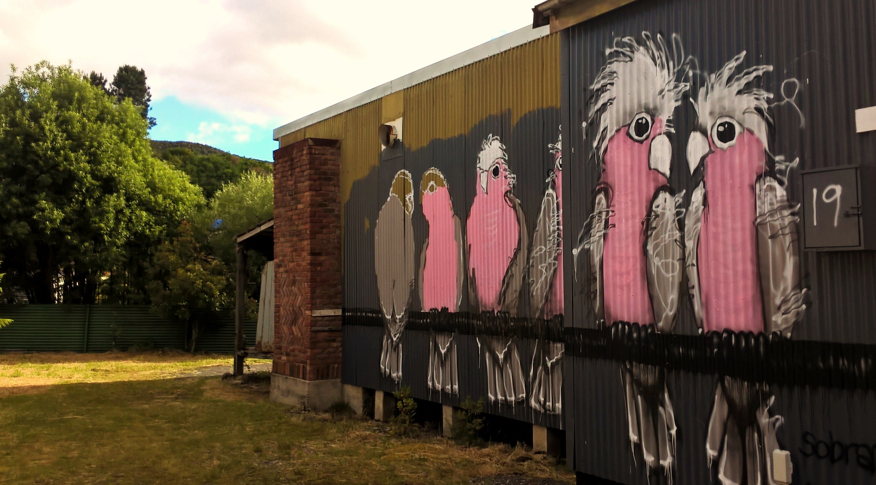 queenstown street art pappagalli galah