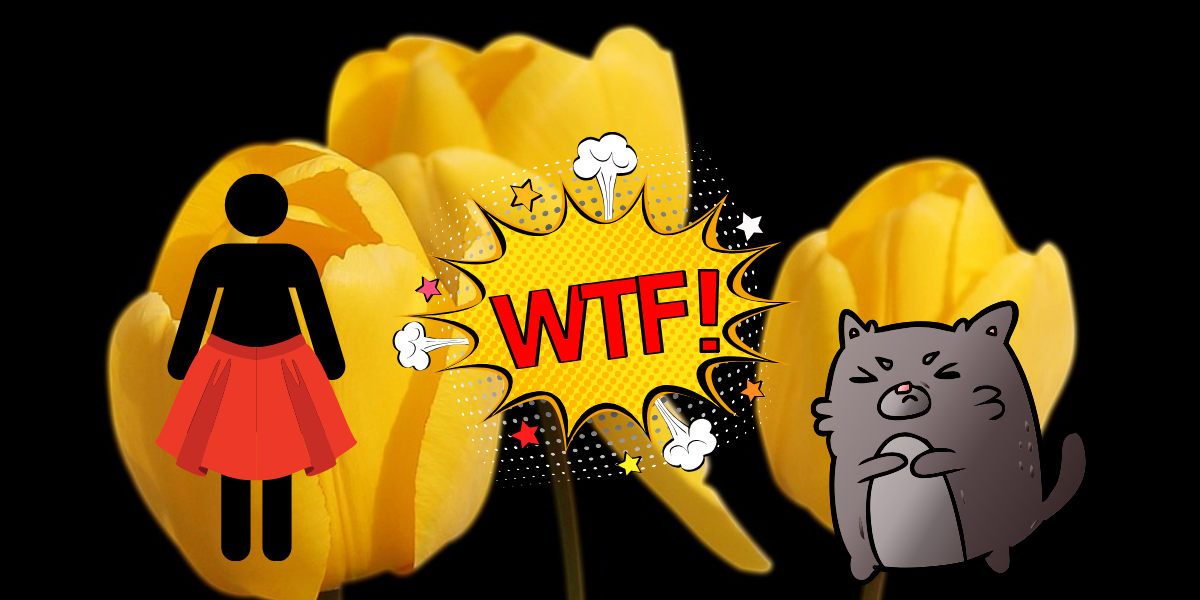 donna tulipani e degrado