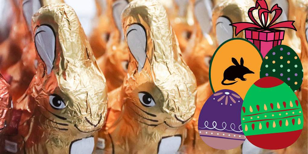 bilby il nuovo animale di cioccolato della pasqua australiana nemico del coniglio
