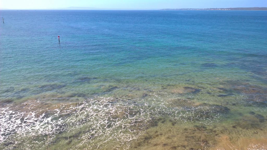 panorama Queenscliff mare pulitissimo verdissimo