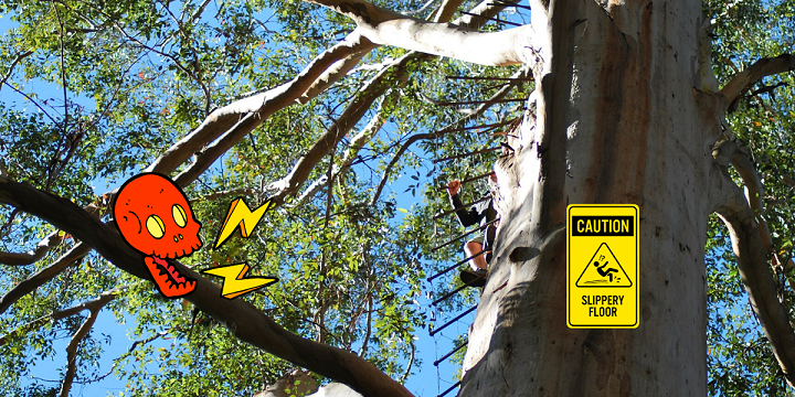 Oltre l’arrampicarsi su un albero: il Gloucester Tree, l’estrema pazzia australiana