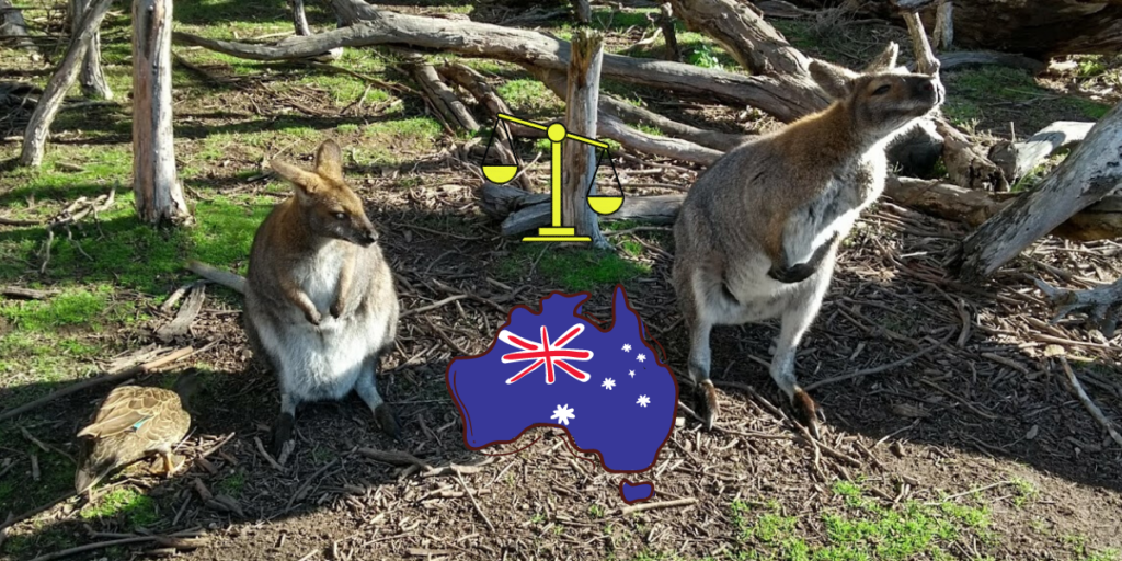 Vivere in Australia pro e contro e due canguri