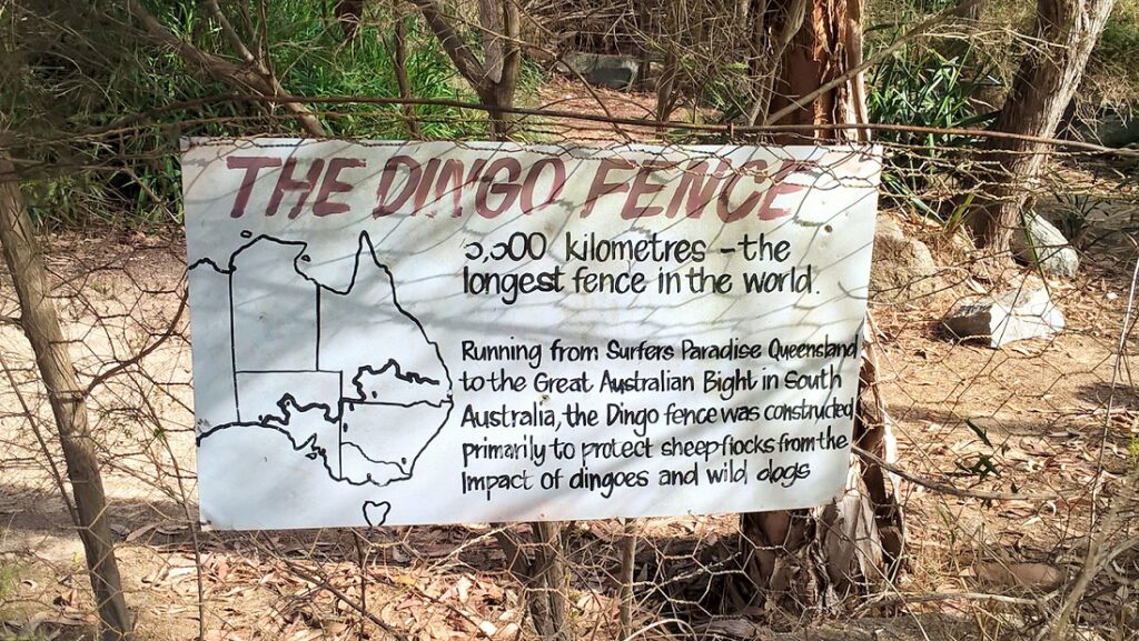 Recinzione di contenimento per dingo, mappa australiana
