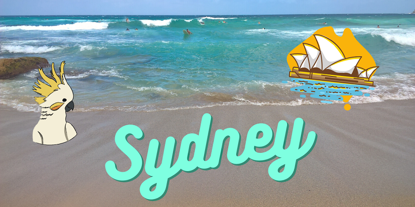 Sydney: spiaggia, purezza e una comparsa speciale