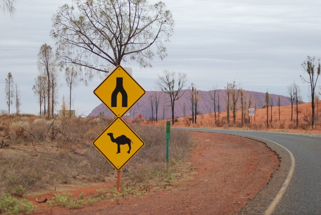 Monte Uluru con segnale stradale di attraversamento cammelli