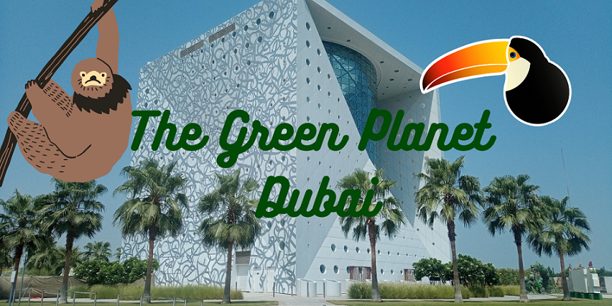 The Green Planet Dubai: la foresta pluviale dove interagire con tucani e pappagalli