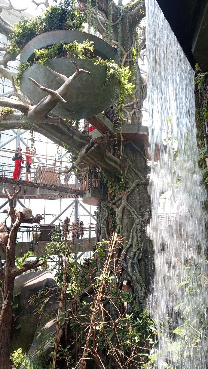 Libro Da Colorare Cacatua Pappagallo Nella Foresta Pluviale | Vettore - Foto 7
